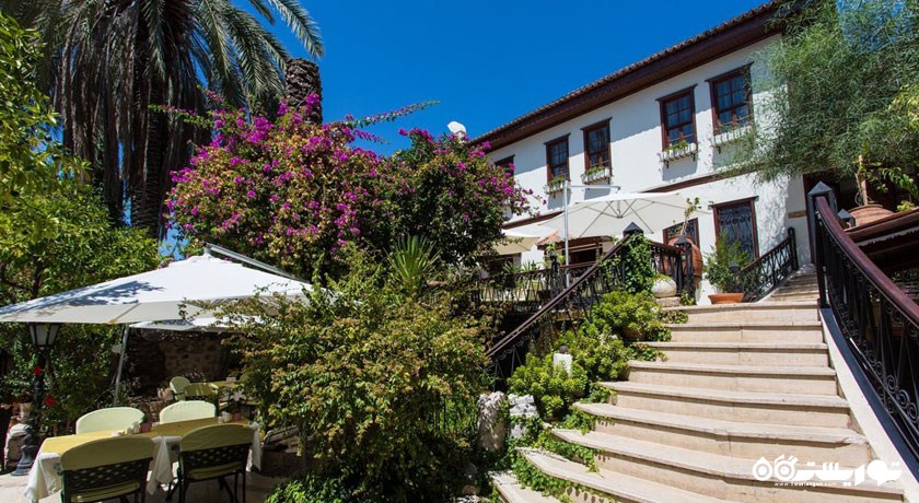 نمای هتل و فضای سبز